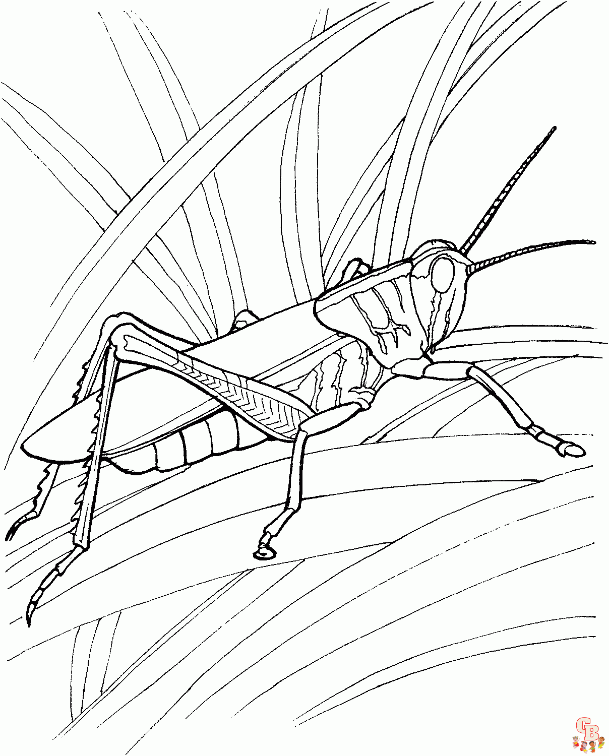 grasshopper drawing for kids