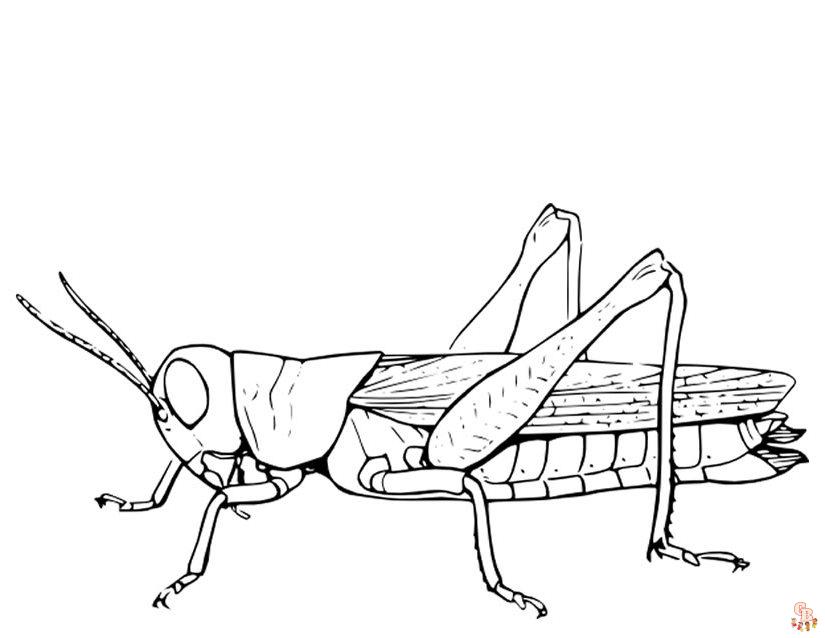 Grasshopper Coloring Pages 2
