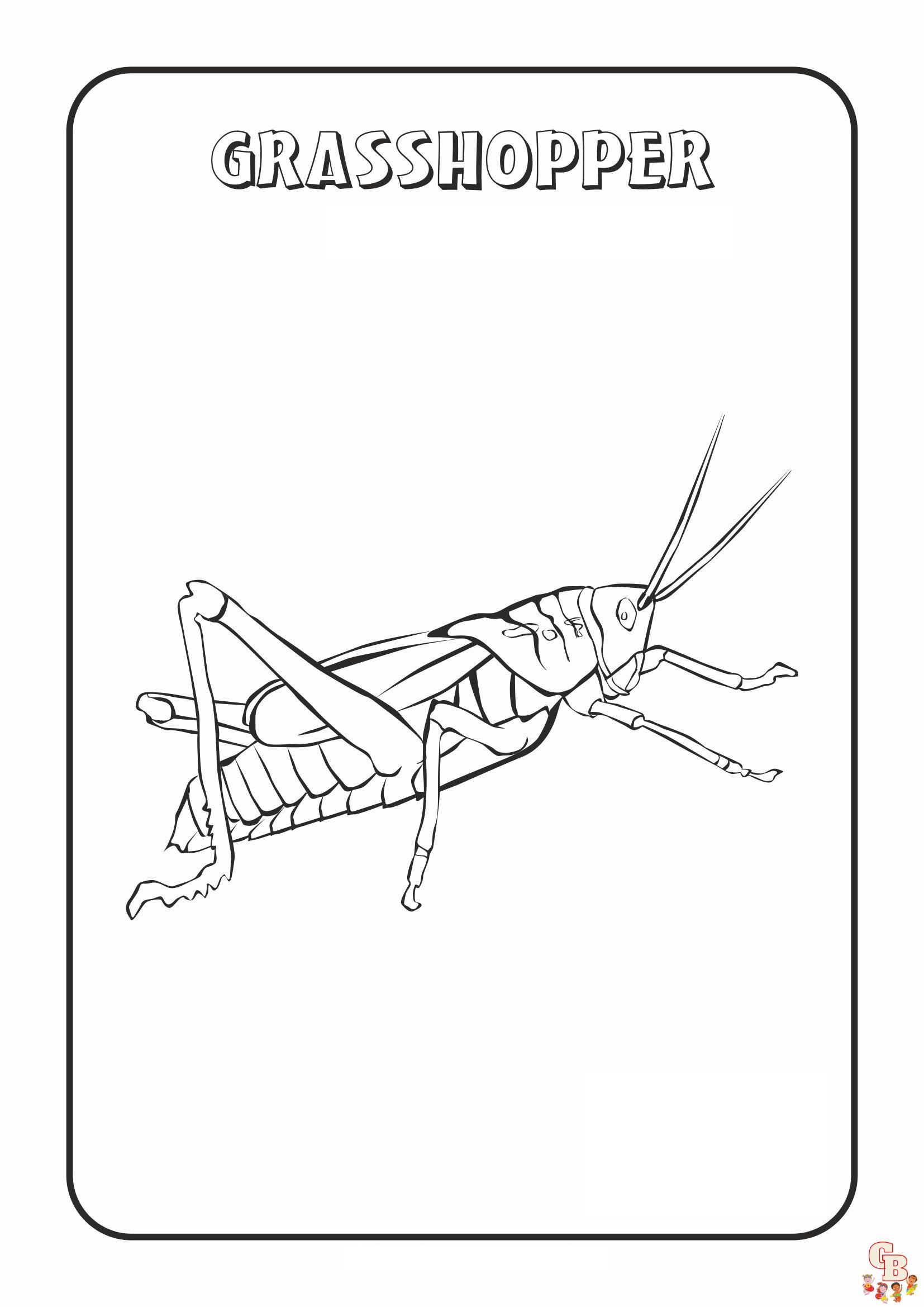 Grasshopper Coloring Pages 4