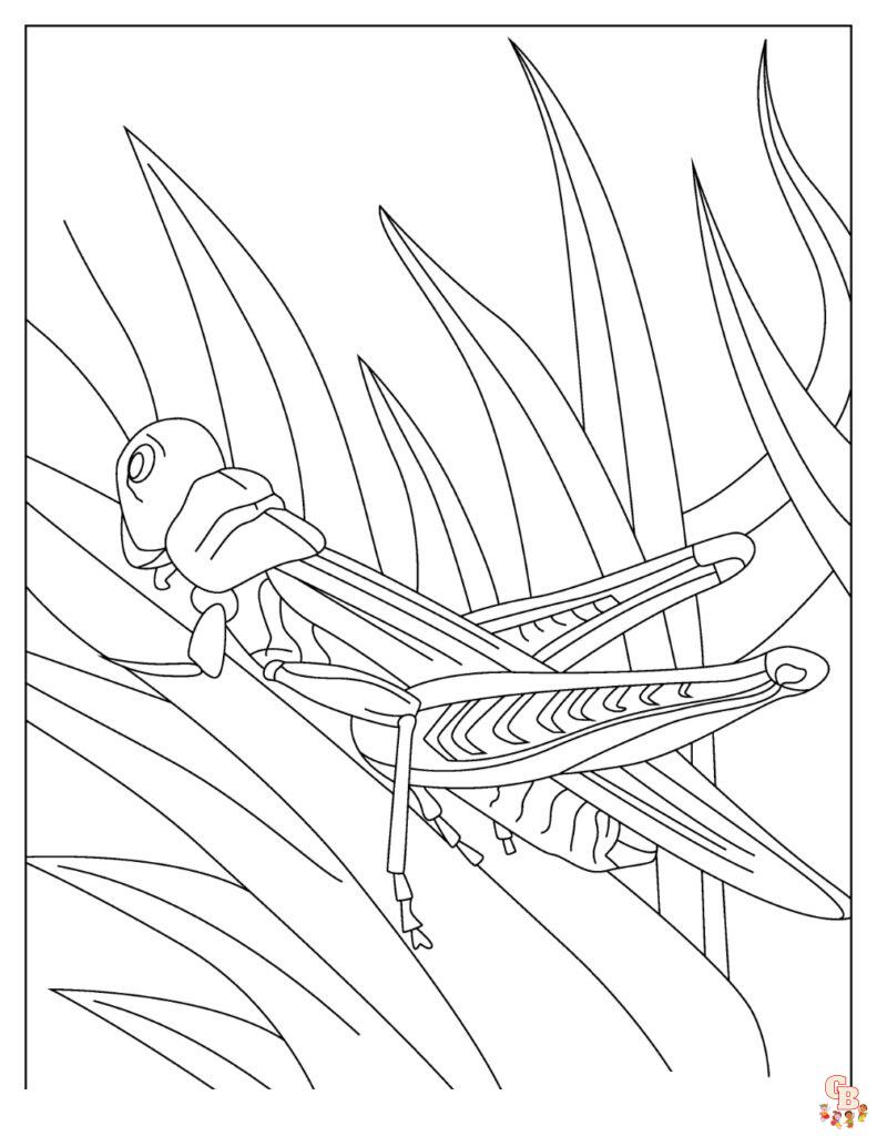 Grasshopper Coloring Pages 7
