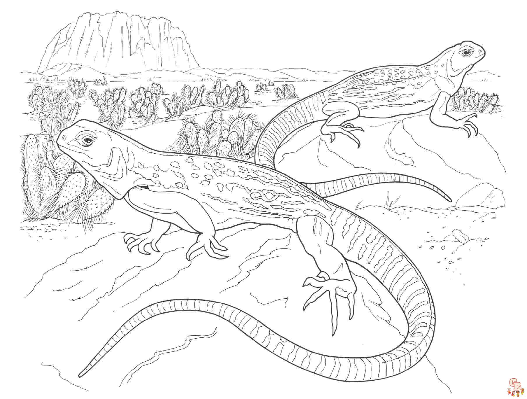 Iguana Coloring Pages 4