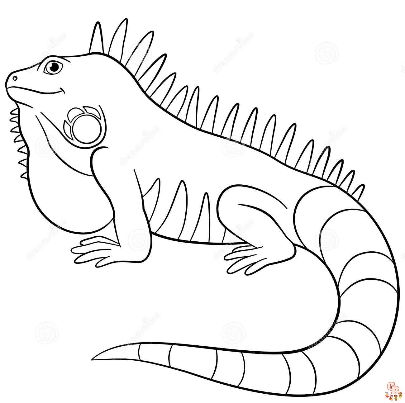 Iguana Coloring Pages 6
