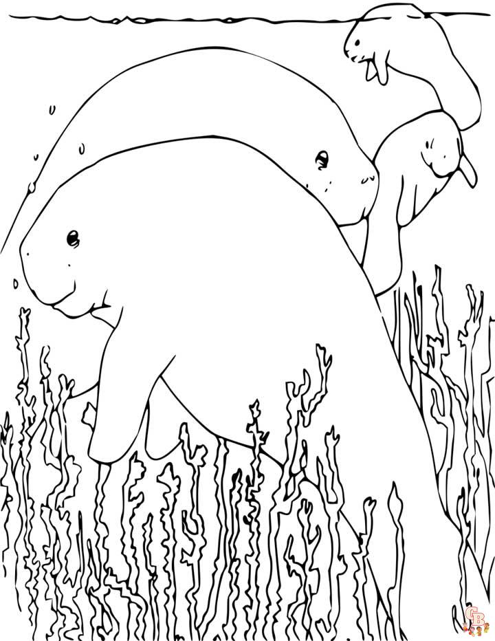 Manatee Coloring Pages 3