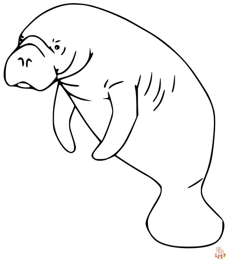Manatee Coloring Pages 4