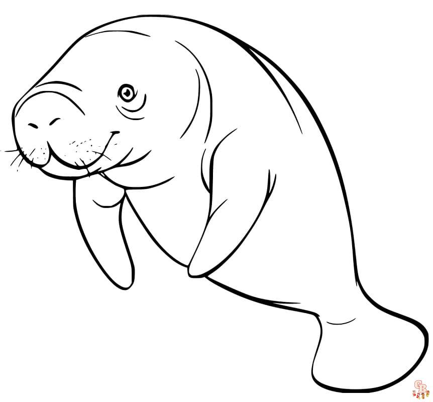 Manatee Coloring Pages 7