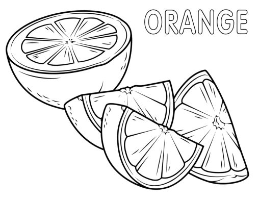 Fun and Free Orange Coloring Pages for Kids | GBcoloring