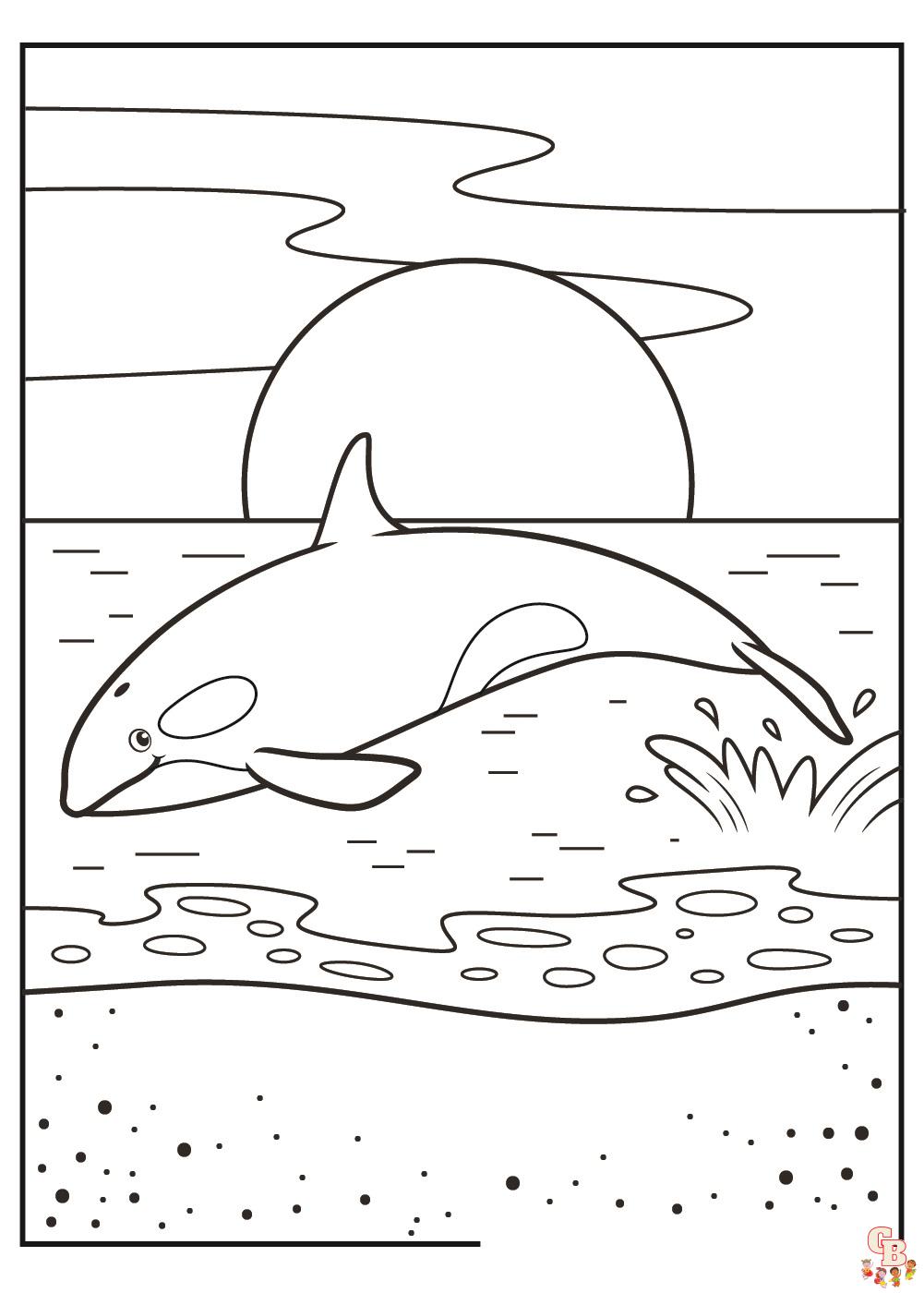 Orca Coloring Pages 3