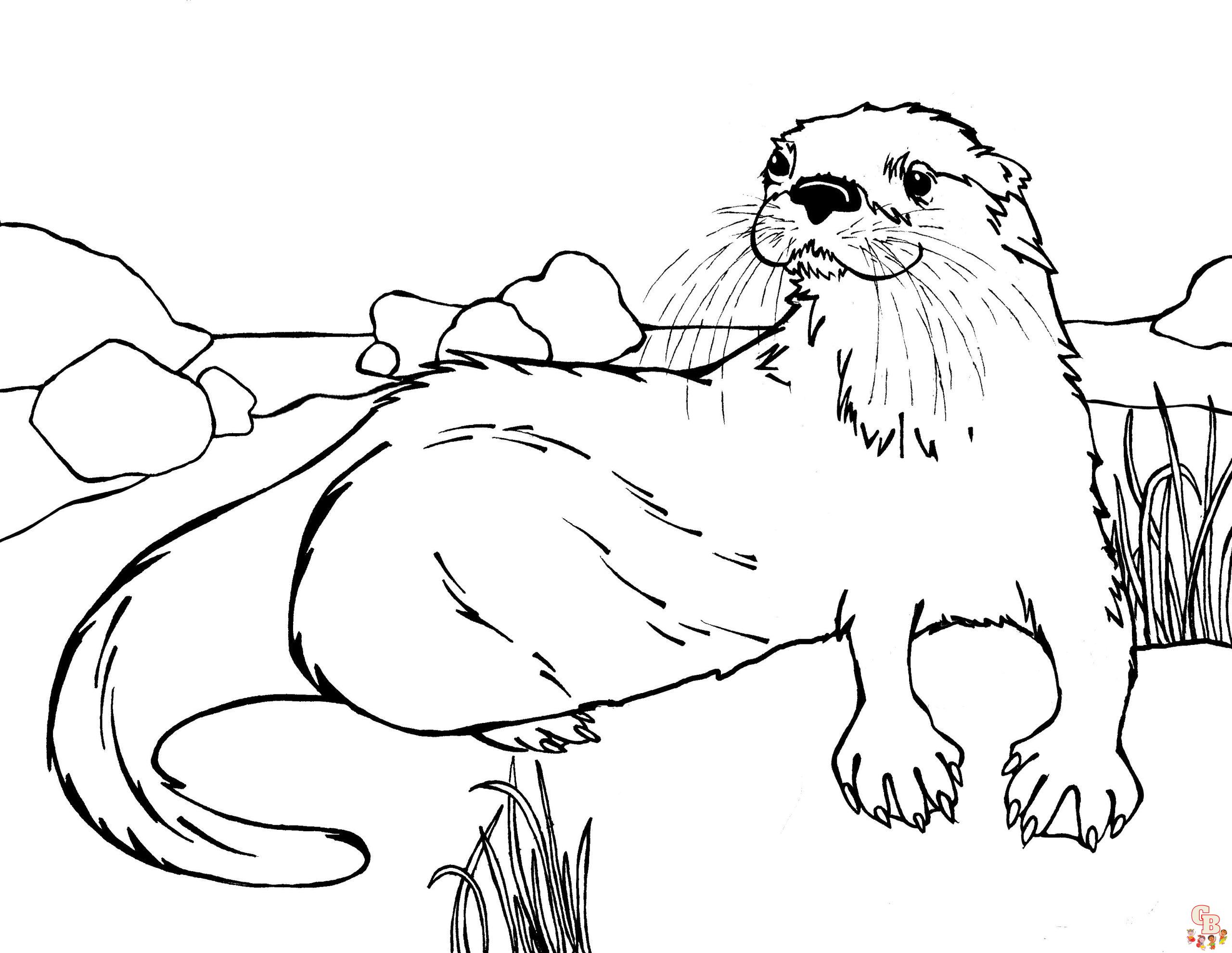 Otter Coloring Pages 13