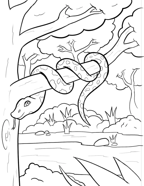 Explore the World of Rainforest Coloring Pages | GBcoloring