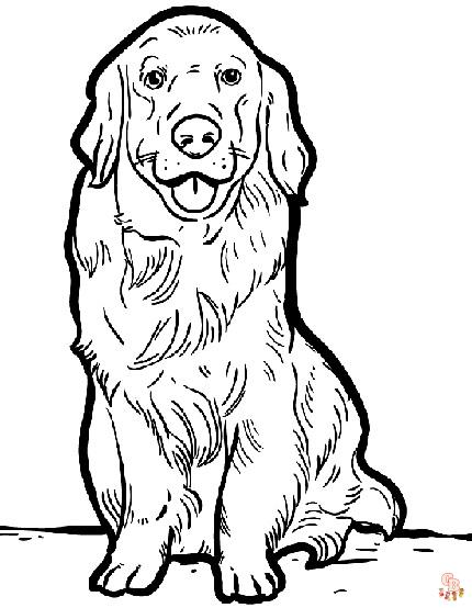Realistic Coloring Pages