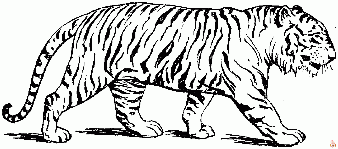tiger picture coloring pages