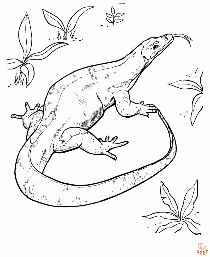 Reptile Coloring Pages 4