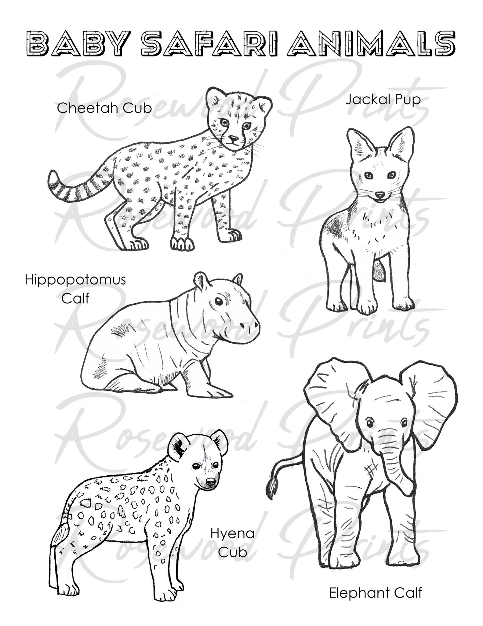 10 Safari Animal Coloring Pages for Unleashing Your Inner Artist