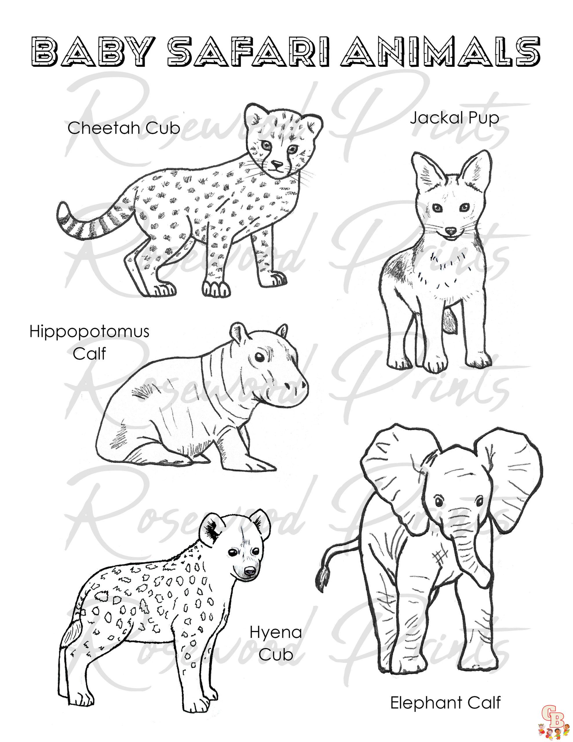 Safari Coloring Pages 5