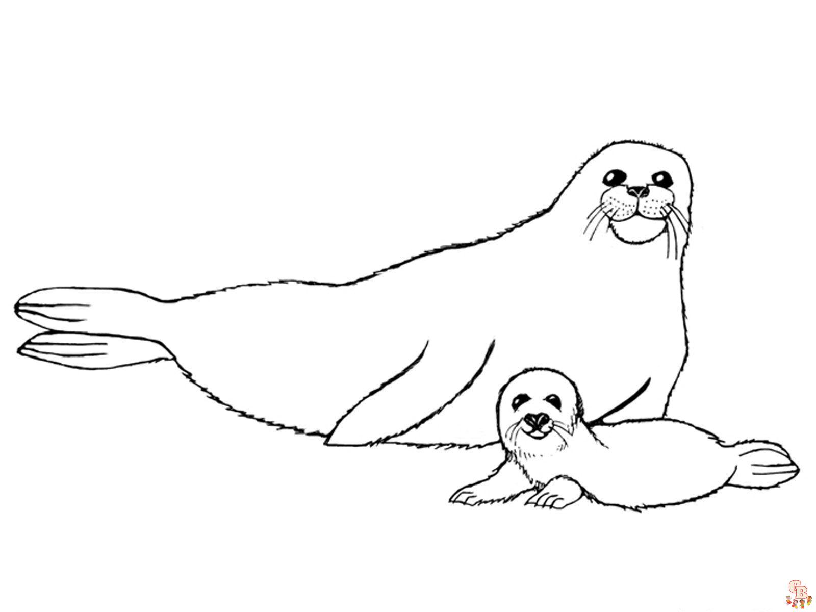 Seal Coloring Pages 1