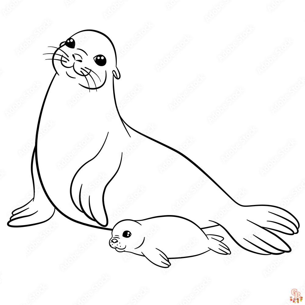 Seal Coloring Pages 2