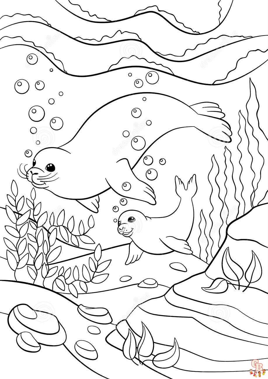 Seal Coloring Pages 5