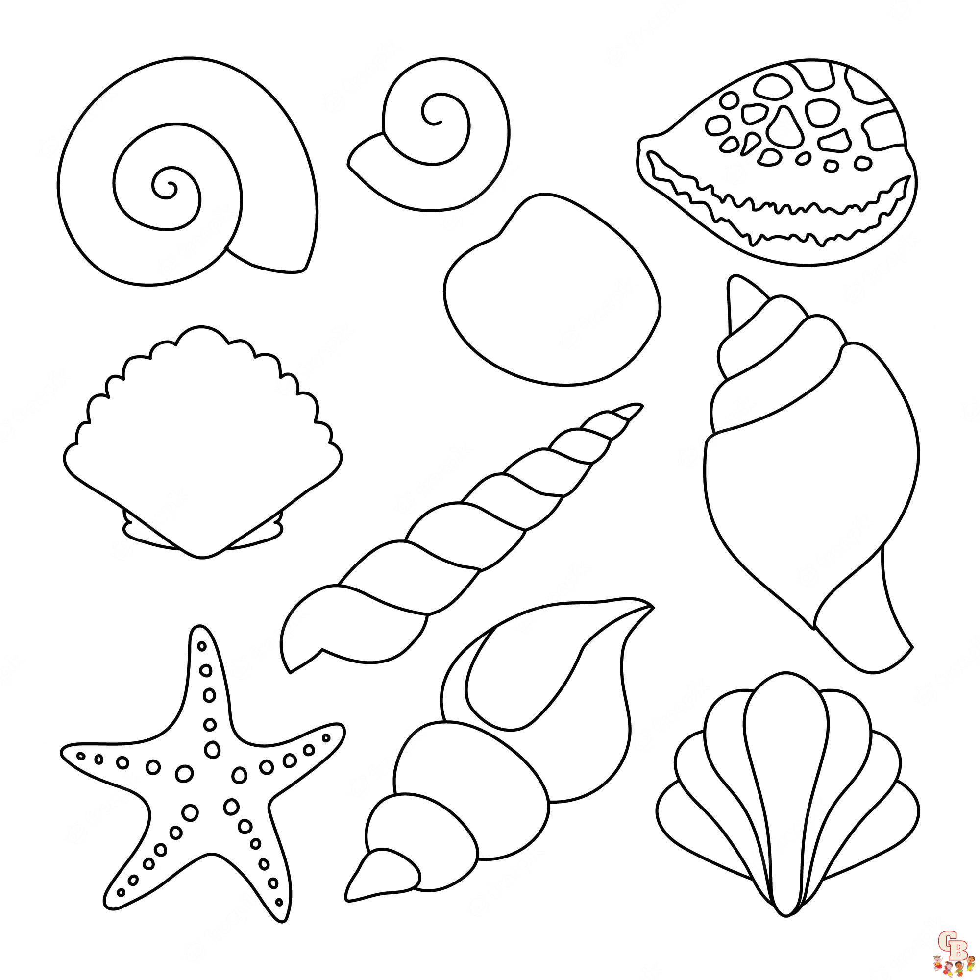 shell coloring pages