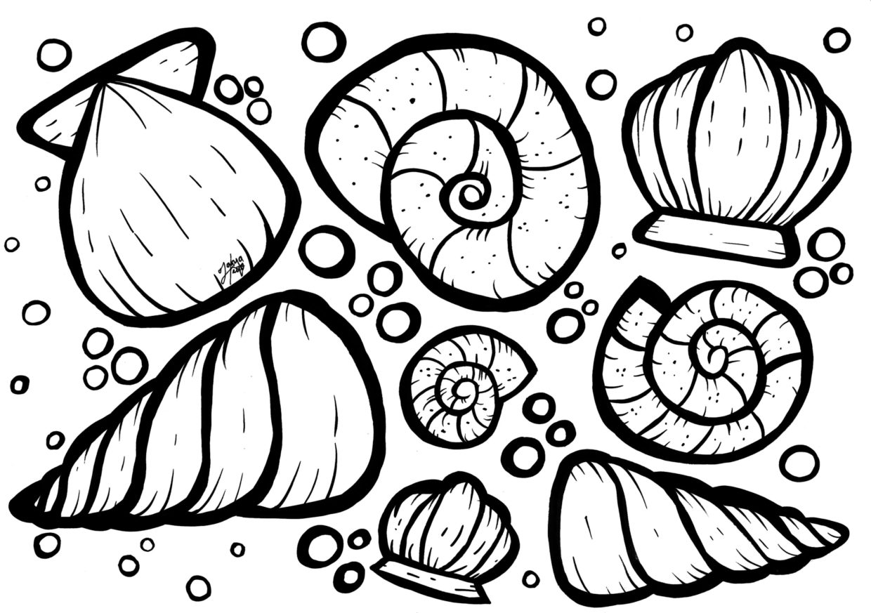 coloring pages sea shells