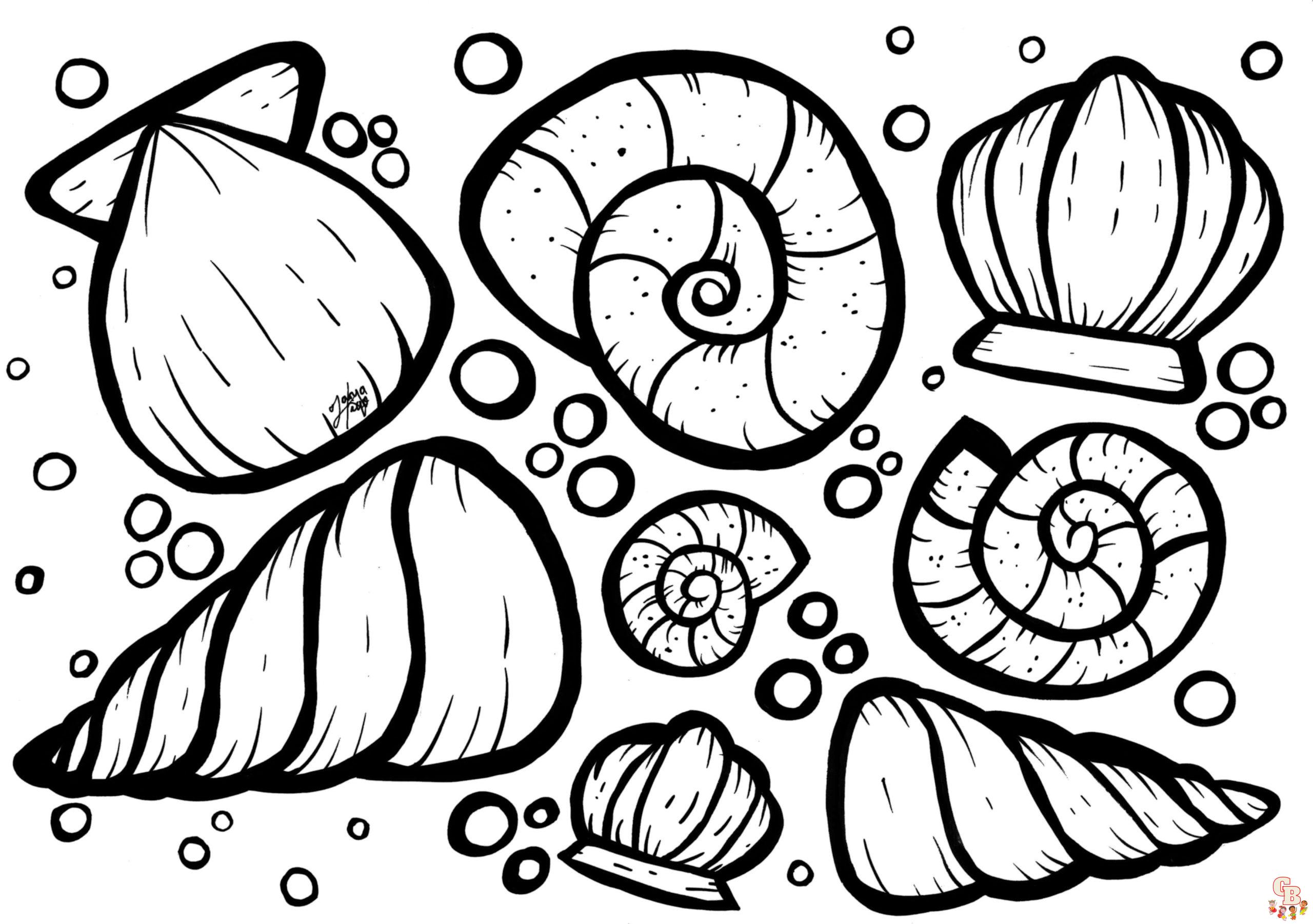 Seashell Coloring Pages 5