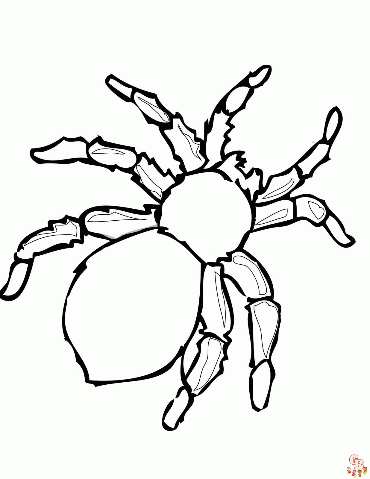 como dibujar una araña facil para niños  Dibujos faciles  YouTube