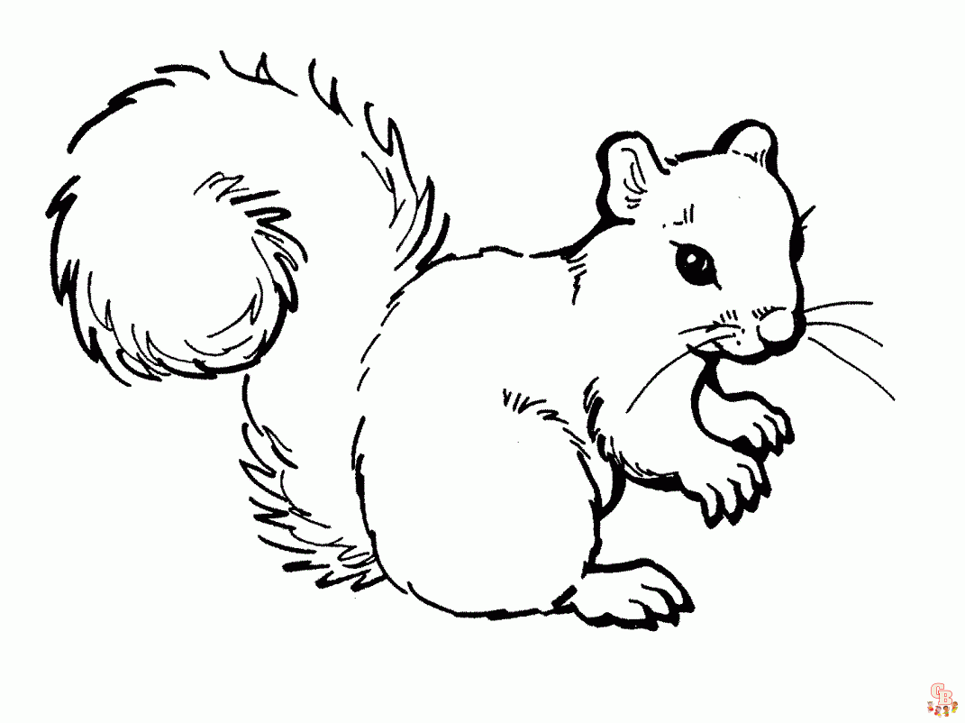 Squirrel Coloring Pages 1