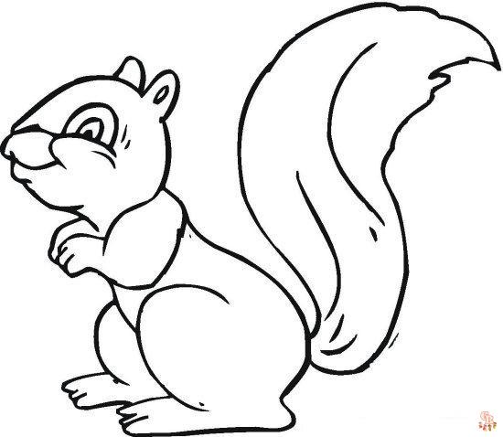 Squirrel Coloring Pages 4