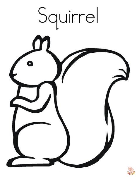 Squirrel Coloring Pages 5