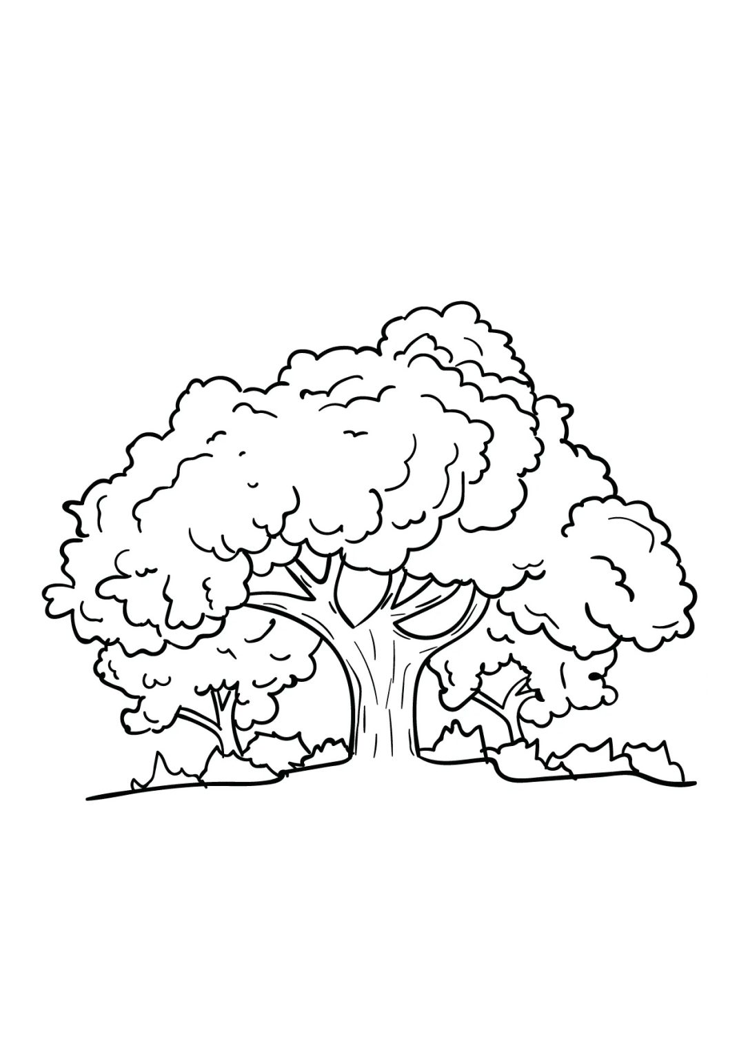 Fun And Free Tree Coloring Pages For Kids