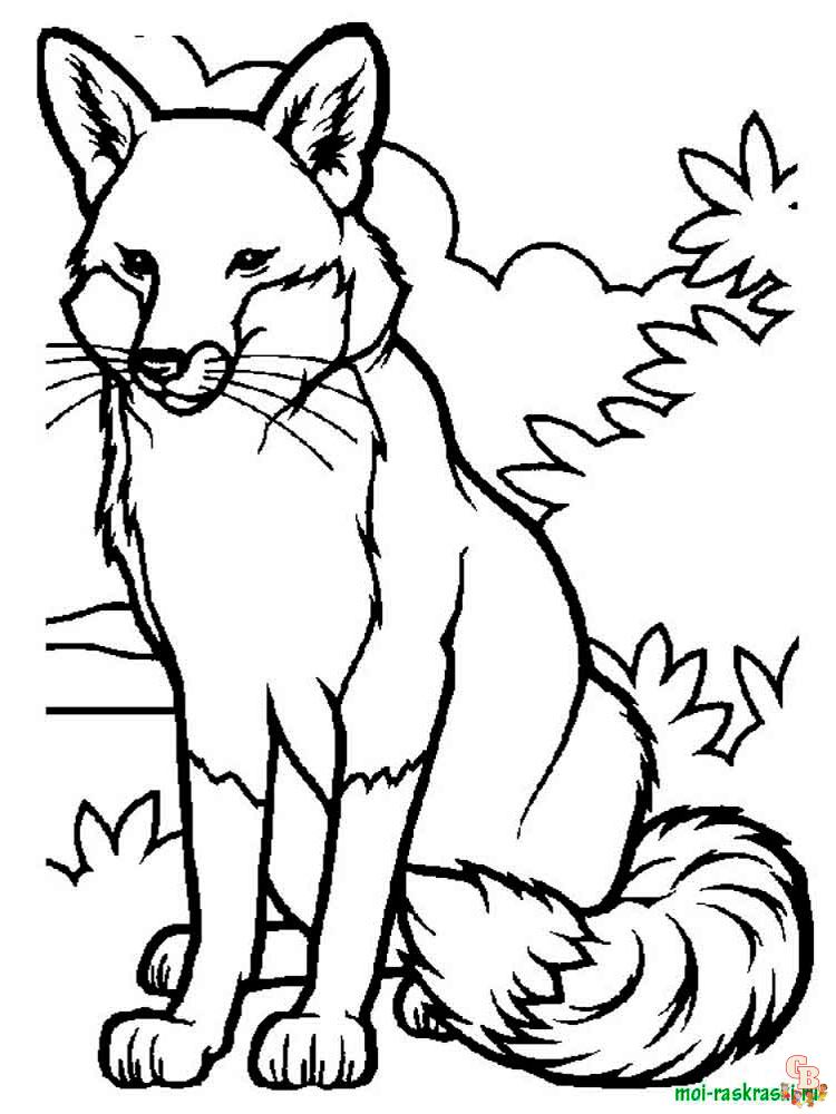 Wild Animal Coloring Pages 15