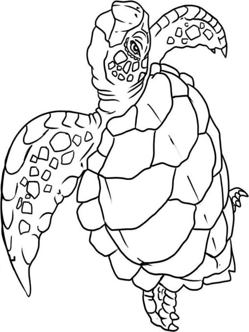 Free Printable Wild Animals Coloring Pages for Kids