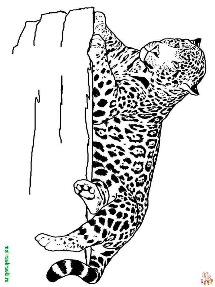 Wild Animals Coloring Pages