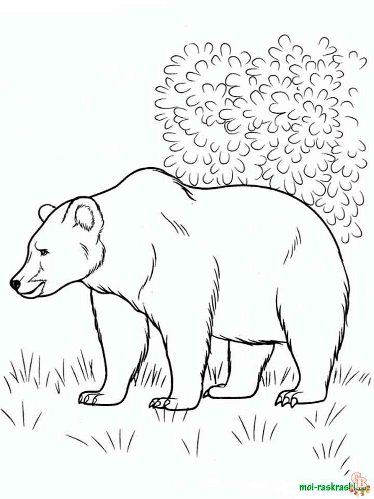 Wild Animal Coloring Pages 42