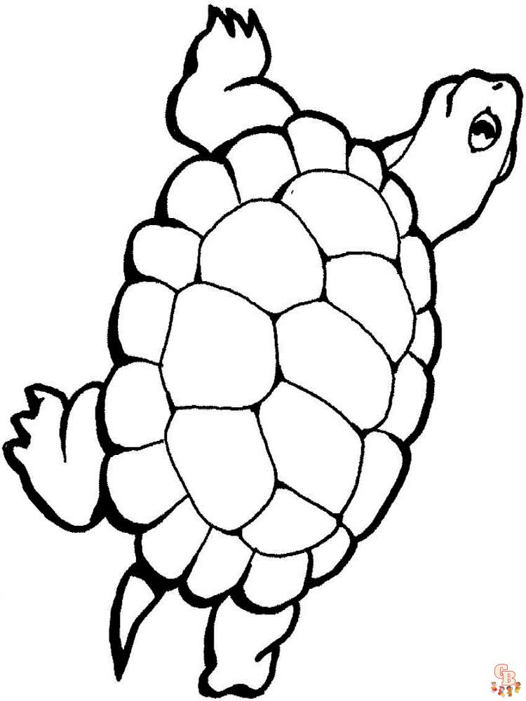 Wild Animal Coloring Pages 7