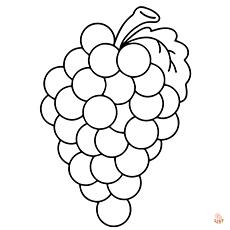 grapes coloring pages 2