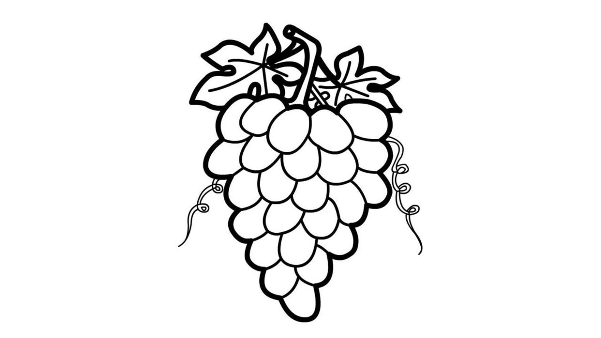grapes coloring pages 4