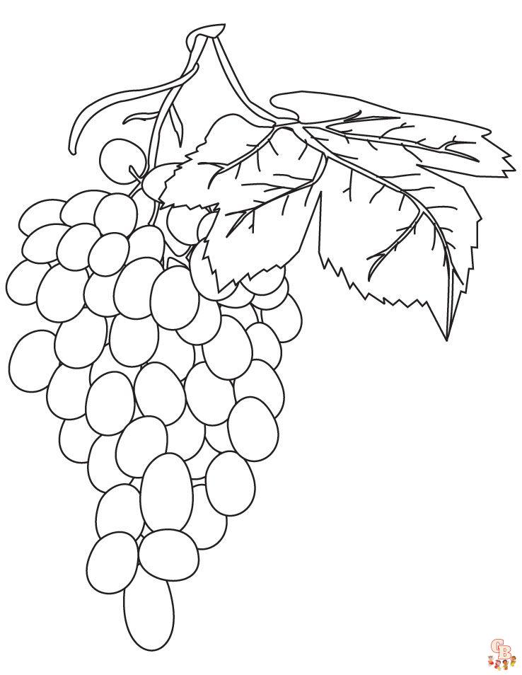 dibujos de uvas para colorear 5