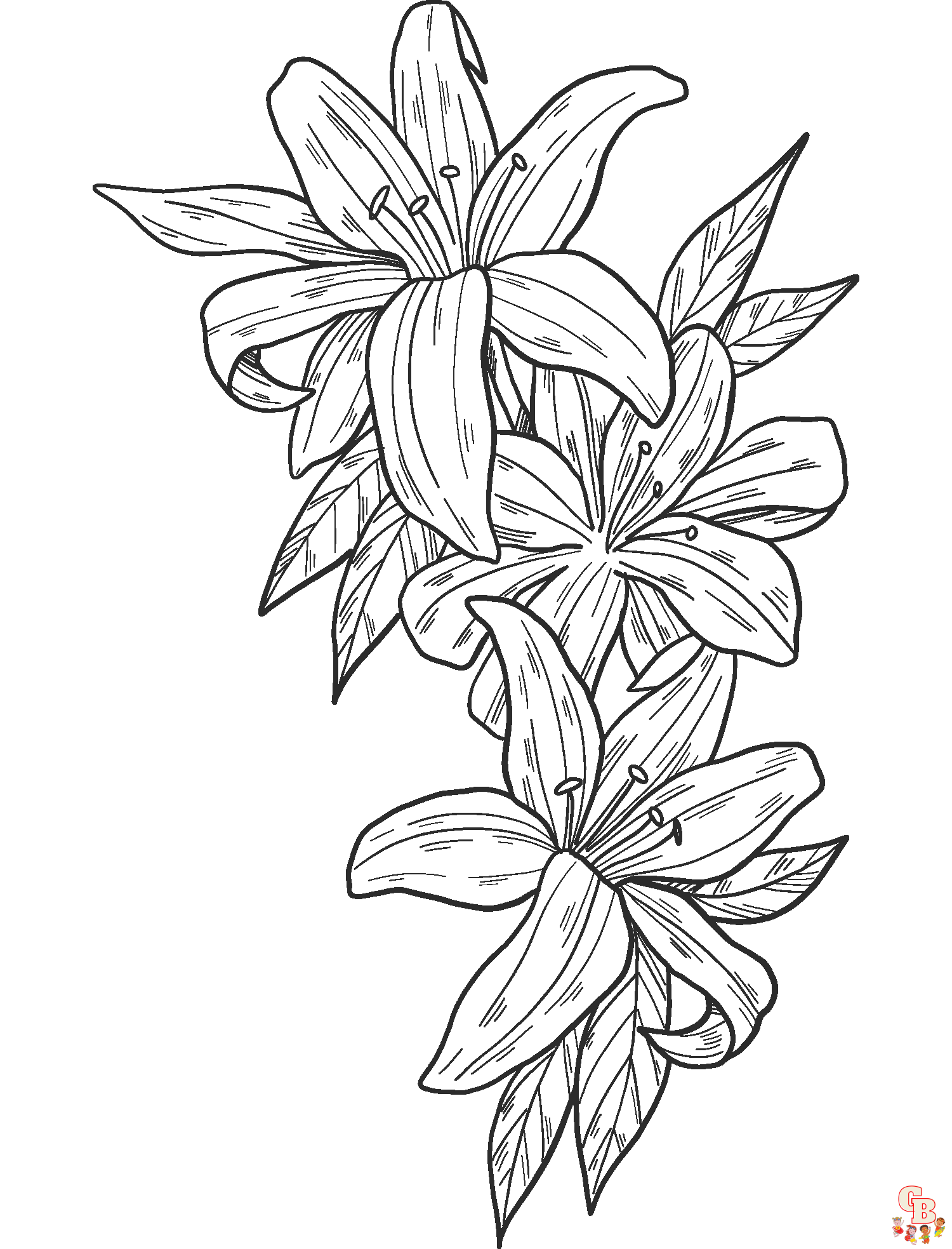 lily coloring pages 1