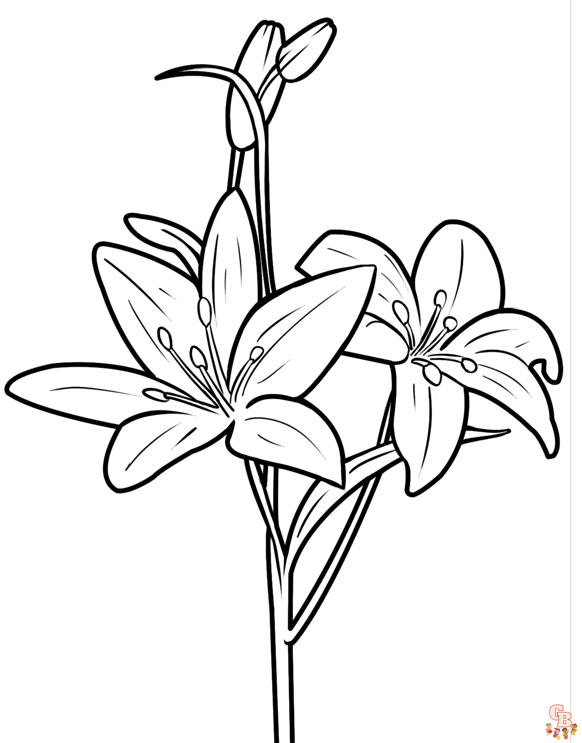 tiger lily coloring pages