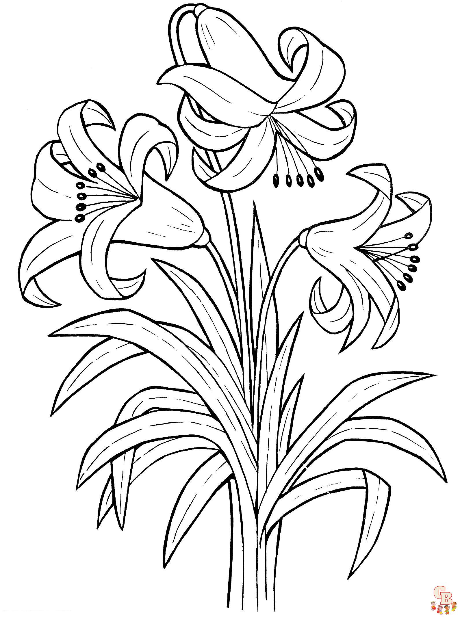 lily coloring pages 4