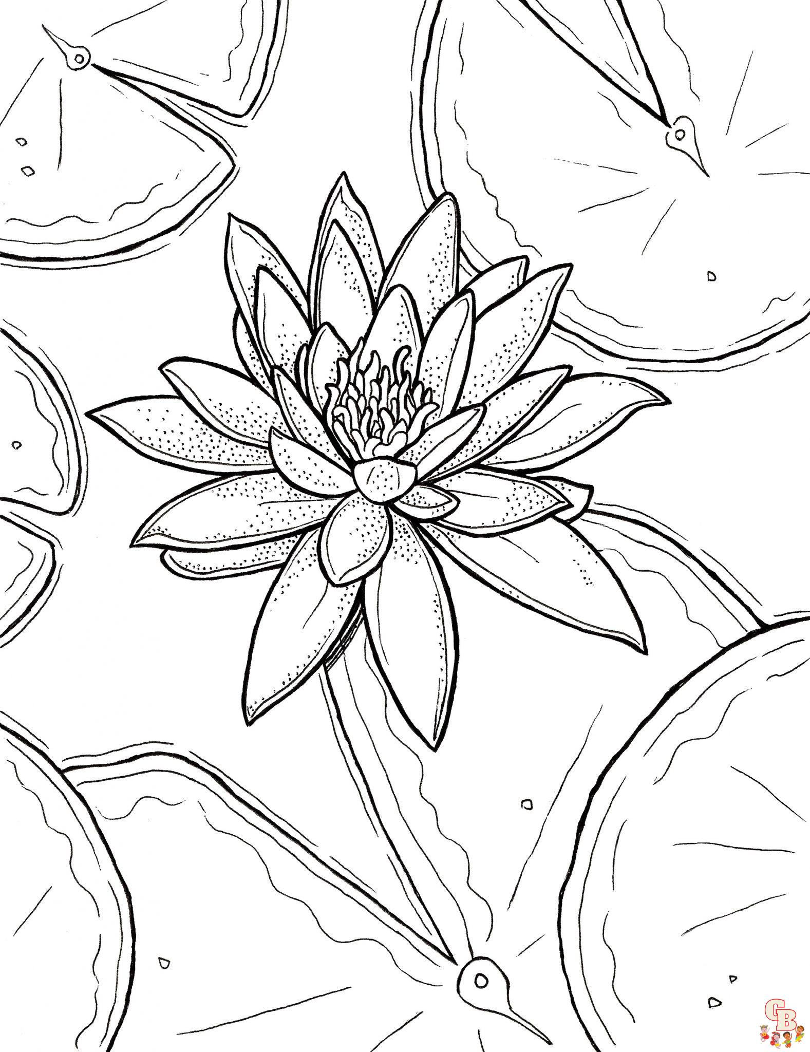 lily coloring pages 5