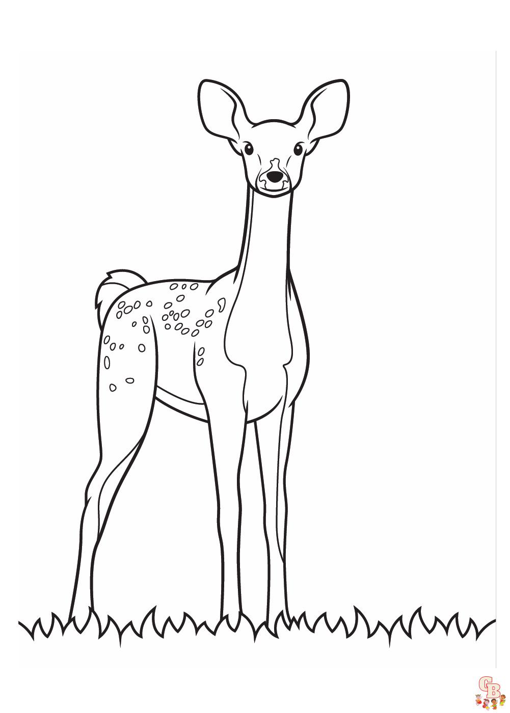realistic animal coloring pages 10 1