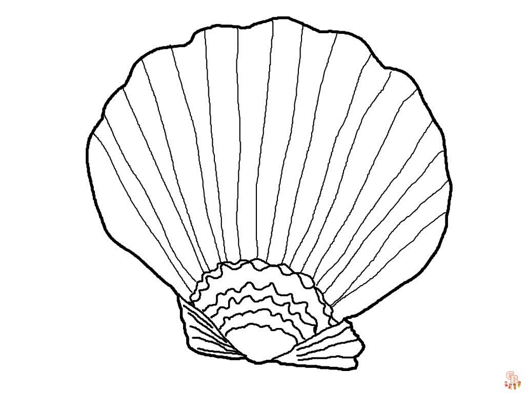 sea shell coloring pages 1