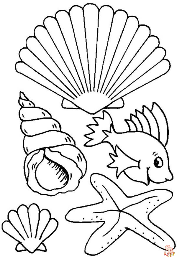 sea shells coloring pages