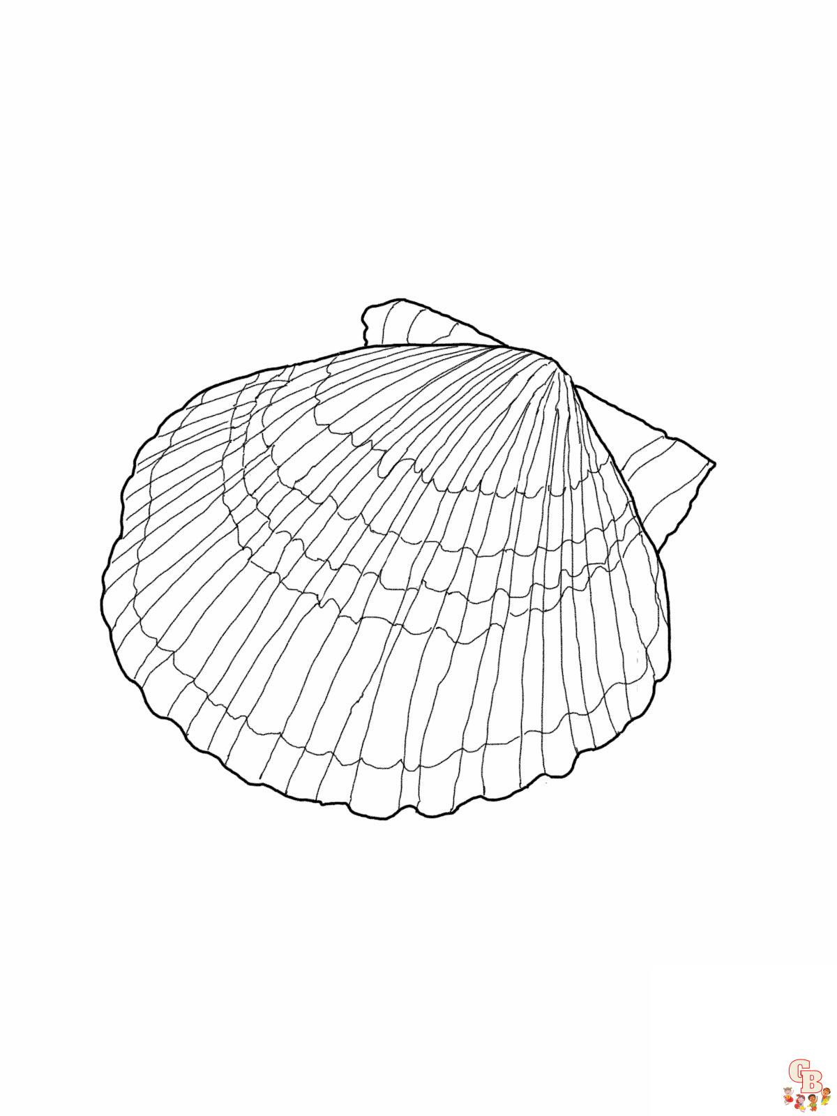 sea shell coloring pages 2