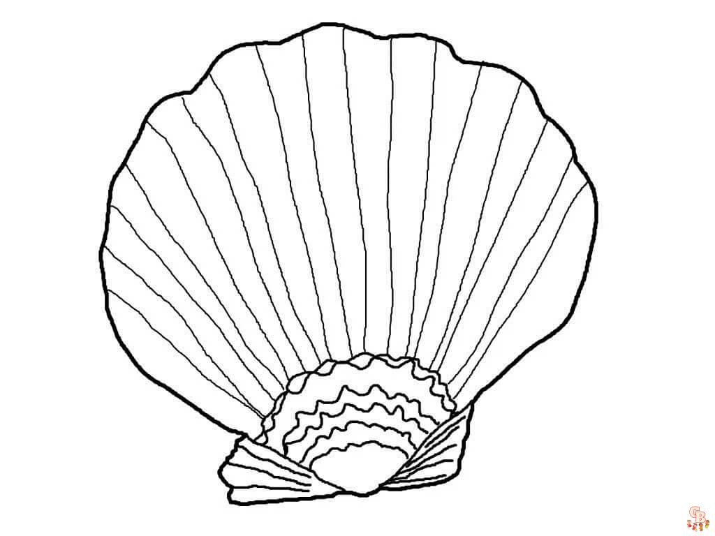 sea shell coloring pages 3
