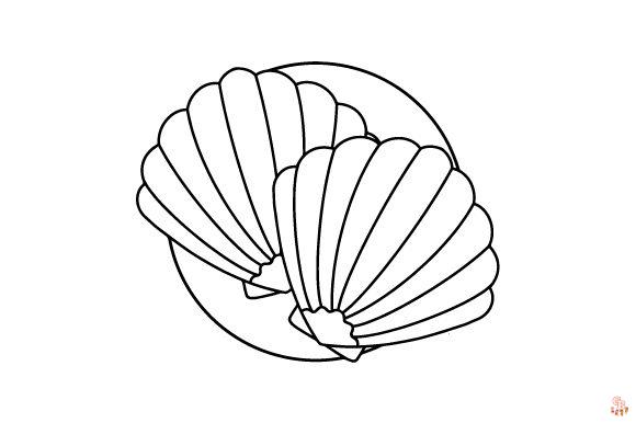 sea shell coloring pages 4