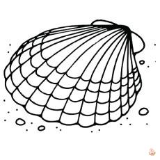 sea shell coloring pages 6