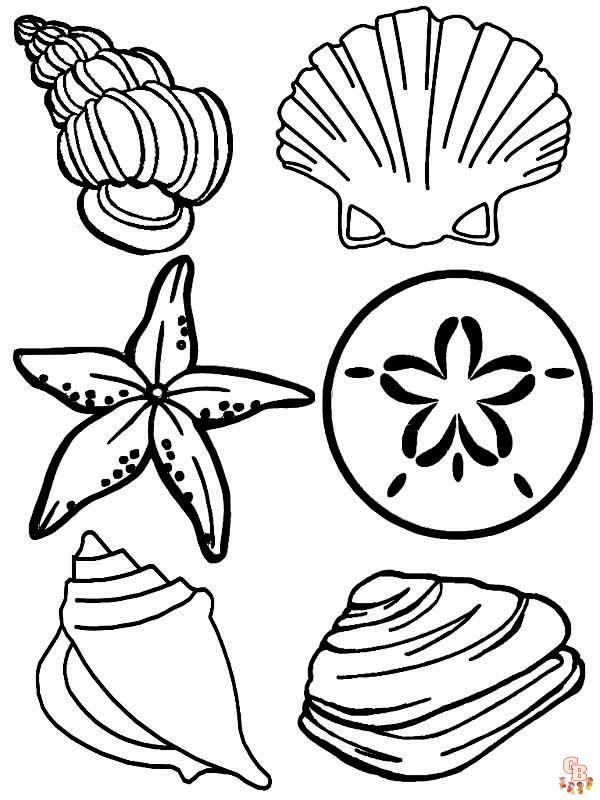 conch shell coloring pages
