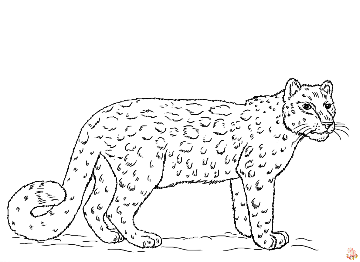 snow leopard coloring pages 1